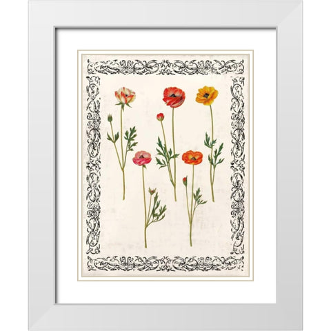Spring Blooms II White Modern Wood Framed Art Print with Double Matting by Berg, Sabine