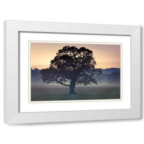 Evening Wisdom White Modern Wood Framed Art Print with Double Matting by Frank, Assaf