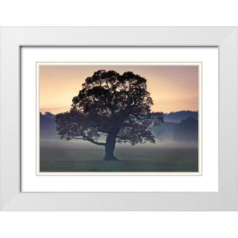 Evening Wisdom White Modern Wood Framed Art Print with Double Matting by Frank, Assaf