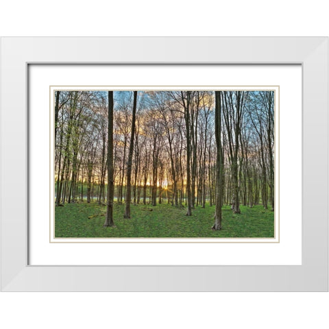 Secret Sunset White Modern Wood Framed Art Print with Double Matting by Frank, Assaf