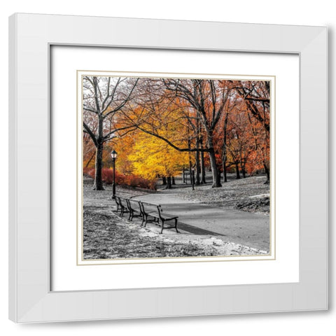 Park Pretty I White Modern Wood Framed Art Print with Double Matting by Frank, Assaf