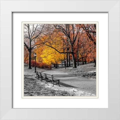 Park Pretty I White Modern Wood Framed Art Print with Double Matting by Frank, Assaf