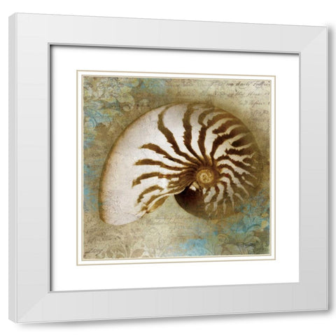 Nautical Beauty White Modern Wood Framed Art Print with Double Matting by Mallett, Keith