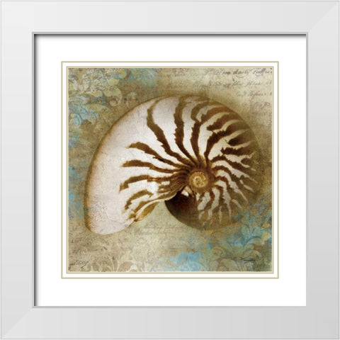 Nautical Beauty White Modern Wood Framed Art Print with Double Matting by Mallett, Keith