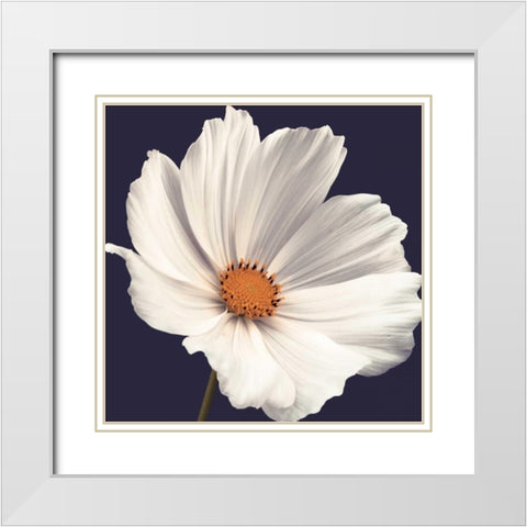 Cosmos I White Modern Wood Framed Art Print with Double Matting by Frank, Assaf