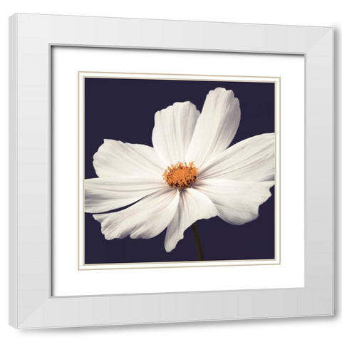 Cosmos II White Modern Wood Framed Art Print with Double Matting by Frank, Assaf