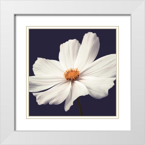 Cosmos II White Modern Wood Framed Art Print with Double Matting by Frank, Assaf