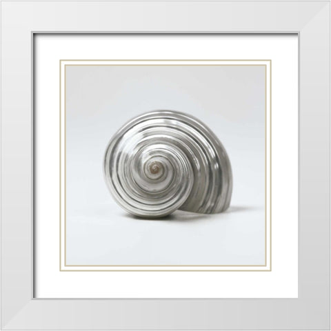 Beachside Treasure II White Modern Wood Framed Art Print with Double Matting by Frank, Assaf
