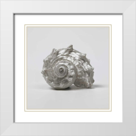 Beachside Treasure III White Modern Wood Framed Art Print with Double Matting by Frank, Assaf