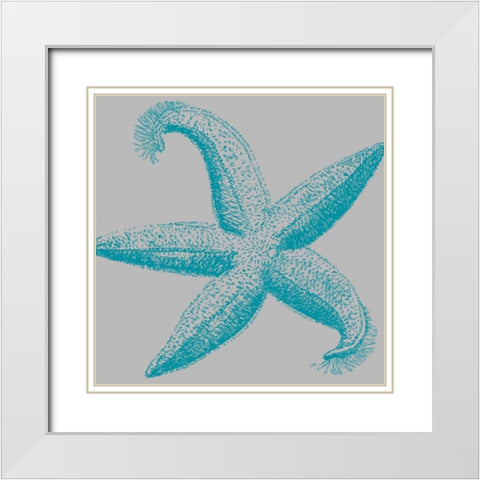 Sea Stars I White Modern Wood Framed Art Print with Double Matting by Berg, Sabine