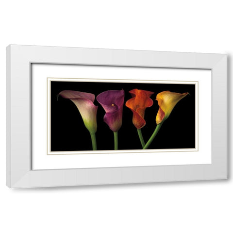 Jewel Calla Lilies White Modern Wood Framed Art Print with Double Matting by Frank, Assaf
