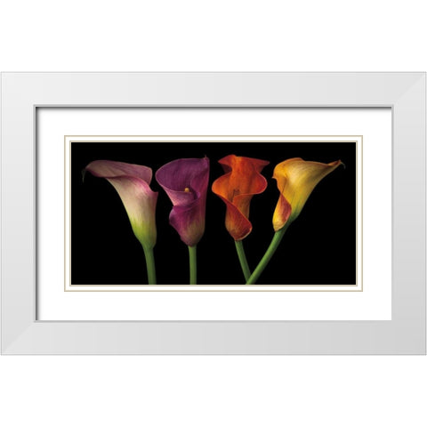 Jewel Calla Lilies White Modern Wood Framed Art Print with Double Matting by Frank, Assaf