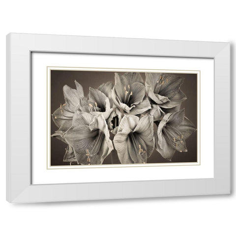 Grand Floral White Modern Wood Framed Art Print with Double Matting by Frank, Assaf