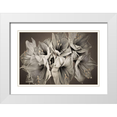 Grand Floral White Modern Wood Framed Art Print with Double Matting by Frank, Assaf