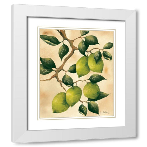 Italian Harvest - Limes White Modern Wood Framed Art Print with Double Matting by Allison, Doris