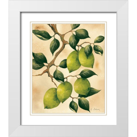 Italian Harvest - Limes White Modern Wood Framed Art Print with Double Matting by Allison, Doris