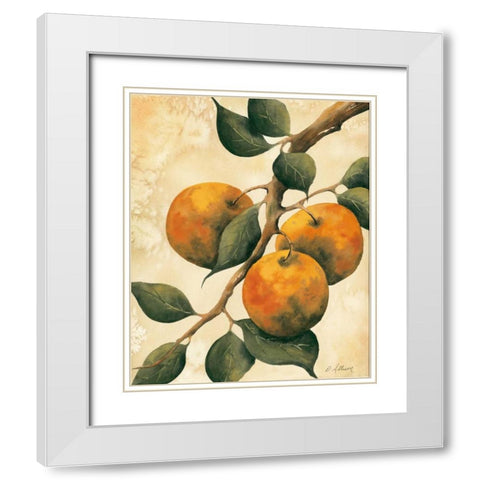 Italian Harvest - Oranges White Modern Wood Framed Art Print with Double Matting by Allison, Doris