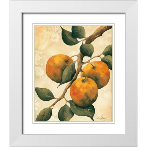Italian Harvest - Oranges White Modern Wood Framed Art Print with Double Matting by Allison, Doris