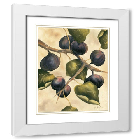 Italian Harvest - Figs White Modern Wood Framed Art Print with Double Matting by Allison, Doris