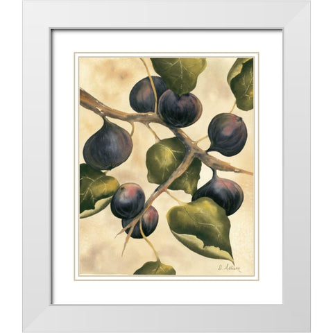 Italian Harvest - Figs White Modern Wood Framed Art Print with Double Matting by Allison, Doris