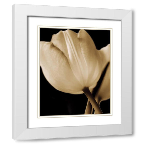 Radiance I White Modern Wood Framed Art Print with Double Matting by Ryan, Cinzia