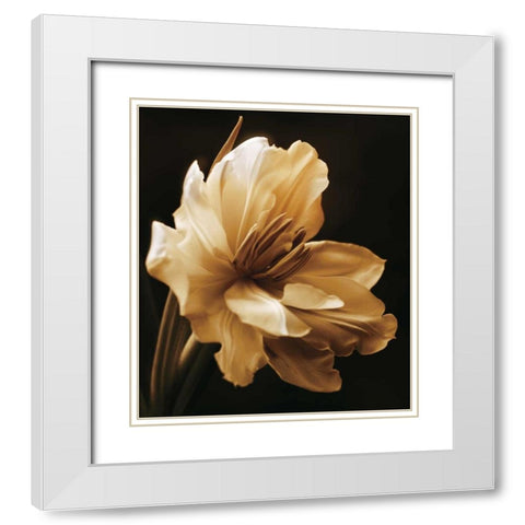 Timeless Grace I White Modern Wood Framed Art Print with Double Matting by Britt, Charles