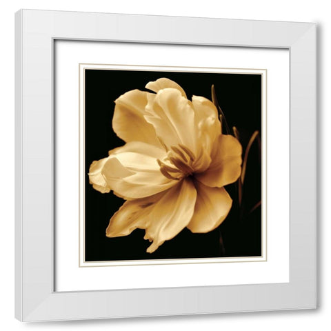 Timeless Grace III White Modern Wood Framed Art Print with Double Matting by Britt, Charles