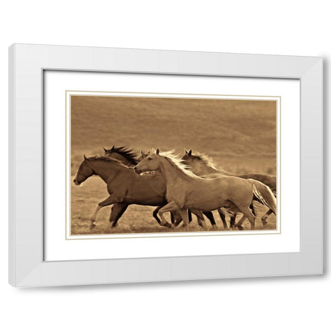 Like the Wind II White Modern Wood Framed Art Print with Double Matting by Caro, Wendy