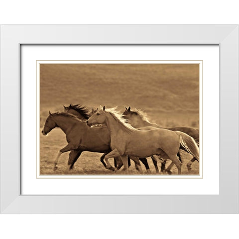 Like the Wind II White Modern Wood Framed Art Print with Double Matting by Caro, Wendy