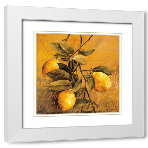 Lemon Branch White Modern Wood Framed Art Print with Double Matting by Thompson, Linda
