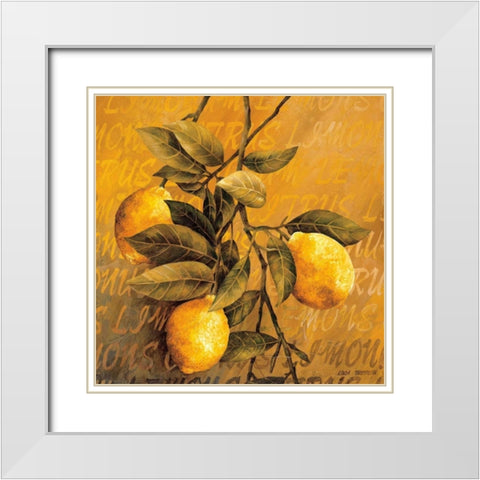 Lemon Branch White Modern Wood Framed Art Print with Double Matting by Thompson, Linda