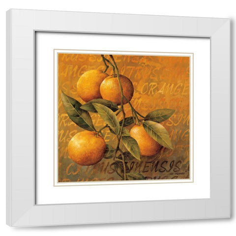 Orange Branch White Modern Wood Framed Art Print with Double Matting by Thompson, Linda