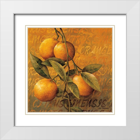 Orange Branch White Modern Wood Framed Art Print with Double Matting by Thompson, Linda