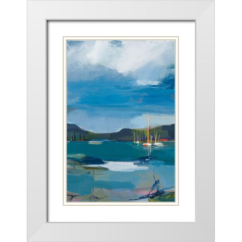 Coastal Display II White Modern Wood Framed Art Print with Double Matting by Fitsimmons, A