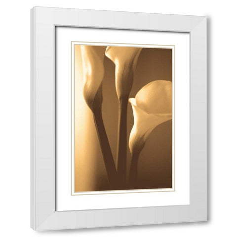 Enlightenment White Modern Wood Framed Art Print with Double Matting by Ryan, Cinzia