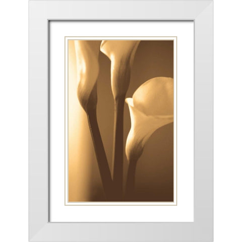 Enlightenment White Modern Wood Framed Art Print with Double Matting by Ryan, Cinzia