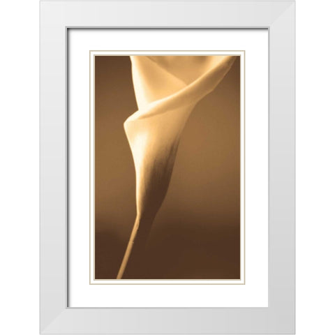 Enlightenment White Modern Wood Framed Art Print with Double Matting by Ryan, Cinzia