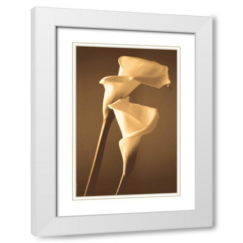Enlightenment White Modern Wood Framed Art Print with Double Matting by Ryan, Cinzia