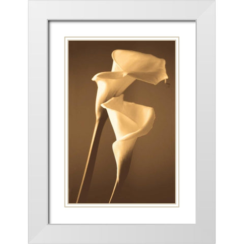 Enlightenment White Modern Wood Framed Art Print with Double Matting by Ryan, Cinzia