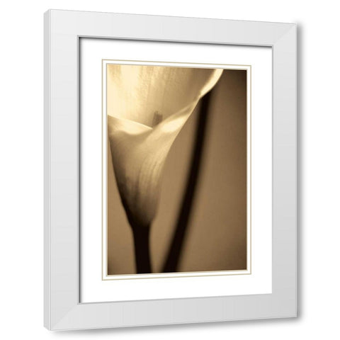 Divinity White Modern Wood Framed Art Print with Double Matting by Ryan, Cinzia