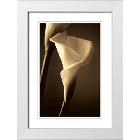 Divinity White Modern Wood Framed Art Print with Double Matting by Ryan, Cinzia