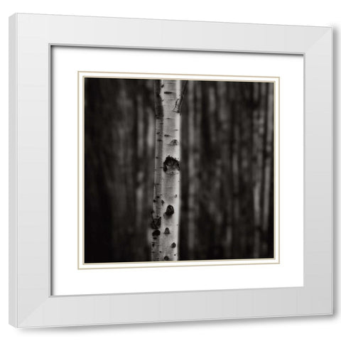 Equilibrium White Modern Wood Framed Art Print with Double Matting by Cook, Jamie