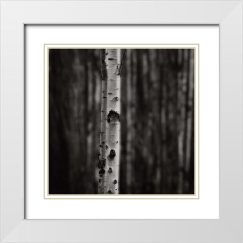 Equilibrium White Modern Wood Framed Art Print with Double Matting by Cook, Jamie