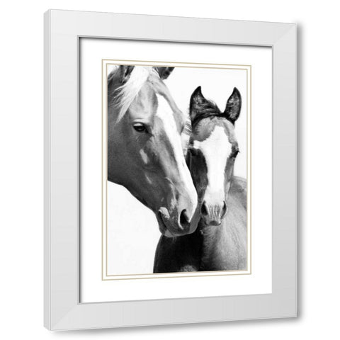 Wild Whispers I White Modern Wood Framed Art Print with Double Matting by Corpeny, Peggy