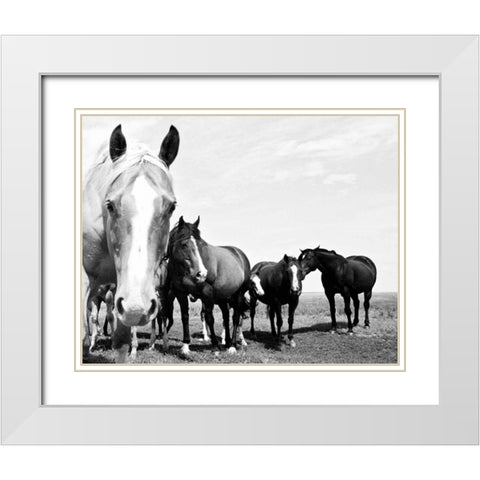 Wild Whispers I White Modern Wood Framed Art Print with Double Matting by Corpeny, Peggy