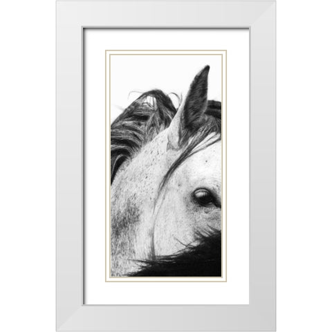 Wild Whispers II White Modern Wood Framed Art Print with Double Matting by Corpeny, Peggy