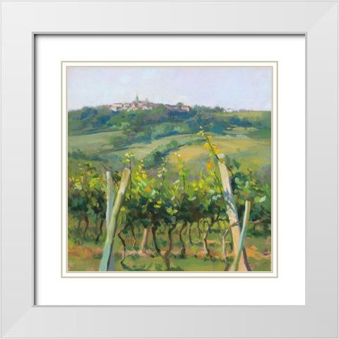Flauvigny View White Modern Wood Framed Art Print with Double Matting by Debrosky, Christine