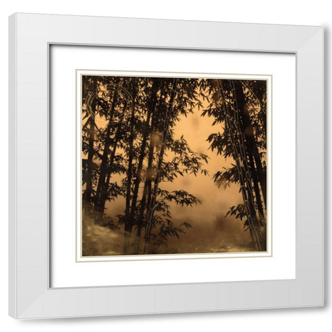 Shadow Play I White Modern Wood Framed Art Print with Double Matting by Endo, Madeleine