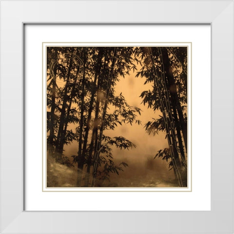 Shadow Play I White Modern Wood Framed Art Print with Double Matting by Endo, Madeleine