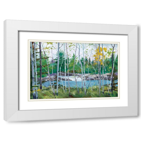 Oxtounge Rapids White Modern Wood Framed Art Print with Double Matting by Forsythe, Graham